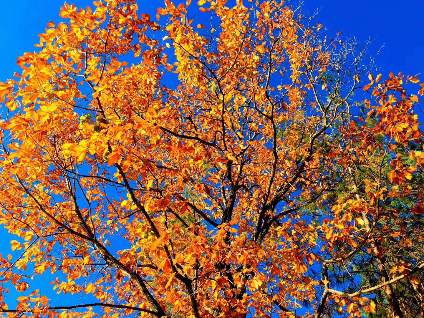 旅游恢復(fù) 旅游恢復(fù)