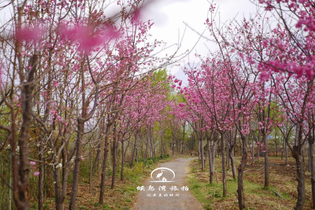 麗江拉市海候鳥(niǎo)灣戶(hù)外拓展基地