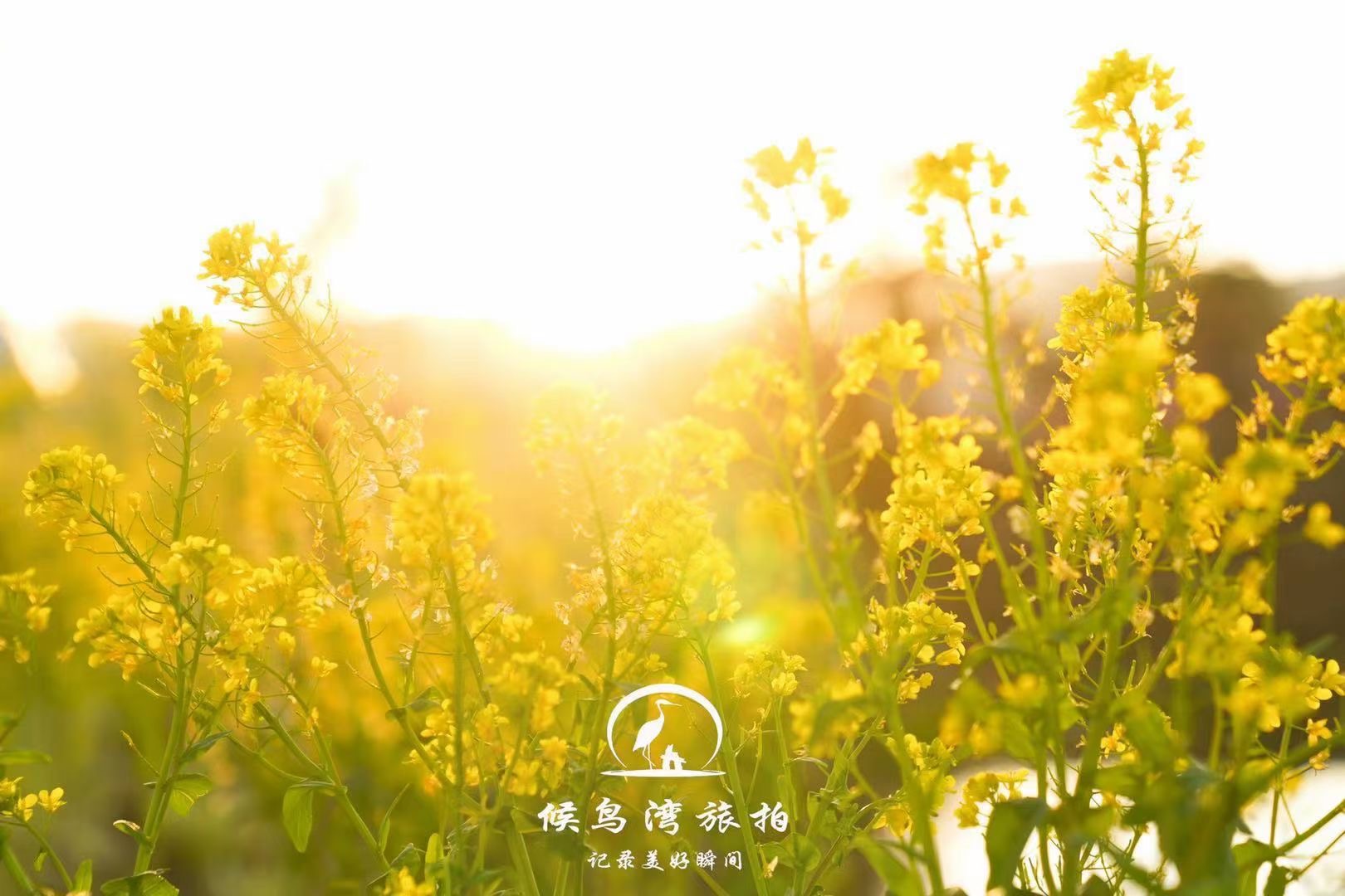 麗江拉市海候鳥(niǎo)灣戶(hù)外拓展基地