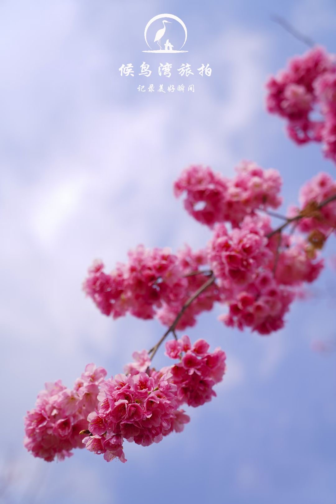 麗江拉市海候鳥(niǎo)灣戶(hù)外拓展基地