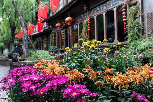 麗江團(tuán)建地方推薦：拉市海候鳥灣濕地，體驗(yàn)特色團(tuán)建的好去處